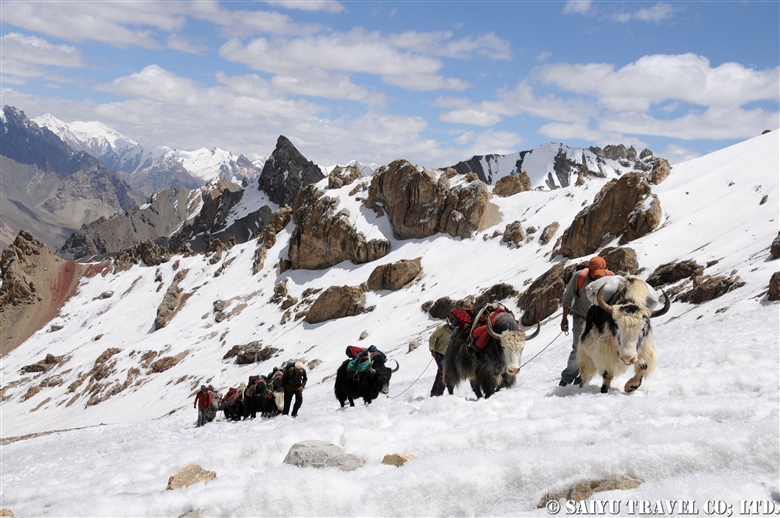Shimshal Pamir シムシャール・パミール  52頭のヤクと61人のショポディン峠（5,346m）越え